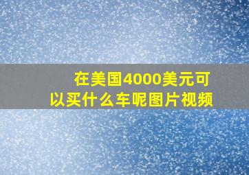 在美国4000美元可以买什么车呢图片视频