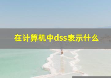 在计算机中dss表示什么