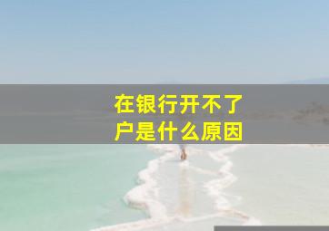 在银行开不了户是什么原因