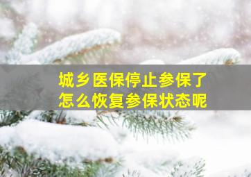 城乡医保停止参保了怎么恢复参保状态呢