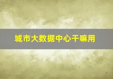 城市大数据中心干嘛用