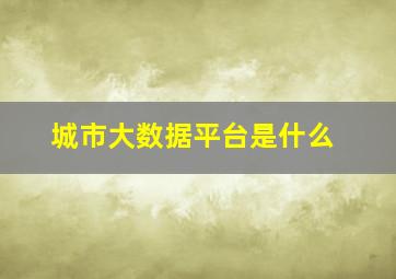 城市大数据平台是什么