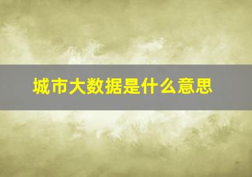 城市大数据是什么意思