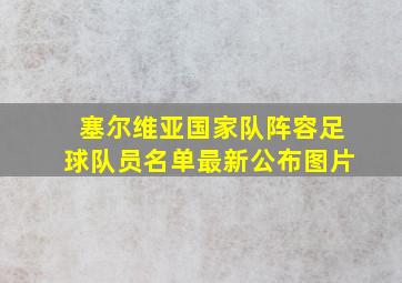 塞尔维亚国家队阵容足球队员名单最新公布图片