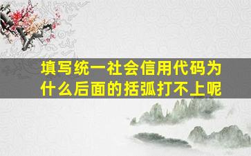 填写统一社会信用代码为什么后面的括弧打不上呢