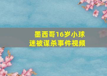 墨西哥16岁小球迷被谋杀事件视频