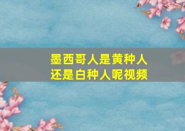 墨西哥人是黄种人还是白种人呢视频