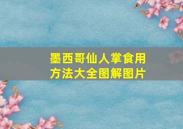 墨西哥仙人掌食用方法大全图解图片