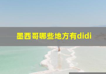 墨西哥哪些地方有didi