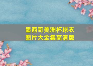 墨西哥美洲杯球衣图片大全集高清版