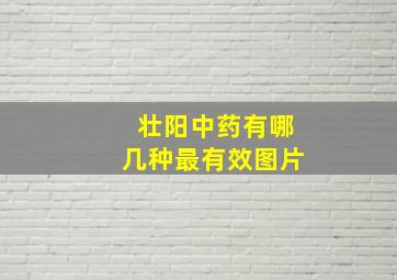 壮阳中药有哪几种最有效图片