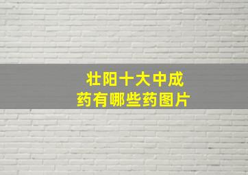 壮阳十大中成药有哪些药图片