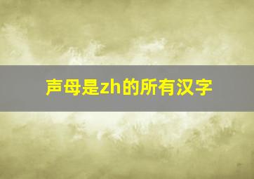 声母是zh的所有汉字