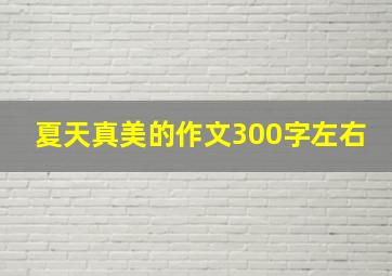 夏天真美的作文300字左右