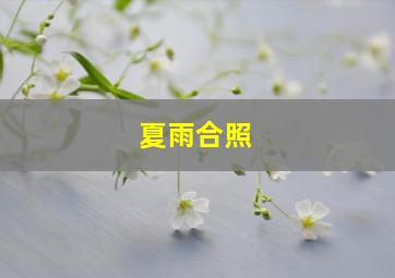 夏雨合照