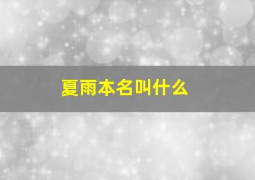 夏雨本名叫什么