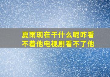 夏雨现在干什么呢咋看不着他电视剧看不了他