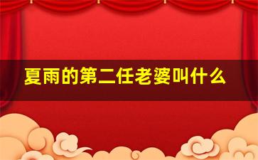 夏雨的第二任老婆叫什么