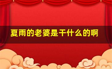 夏雨的老婆是干什么的啊