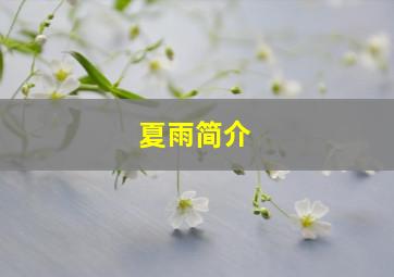 夏雨简介