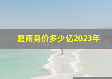 夏雨身价多少亿2023年