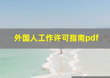 外国人工作许可指南pdf