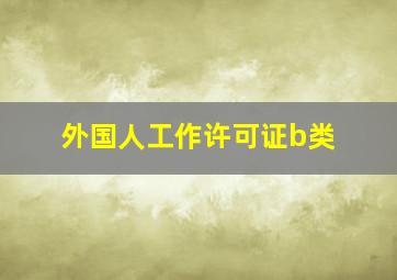 外国人工作许可证b类