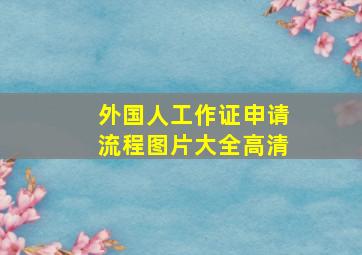 外国人工作证申请流程图片大全高清