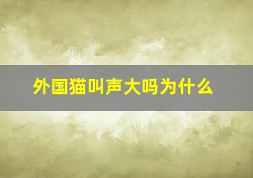 外国猫叫声大吗为什么