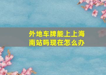 外地车牌能上上海南站吗现在怎么办