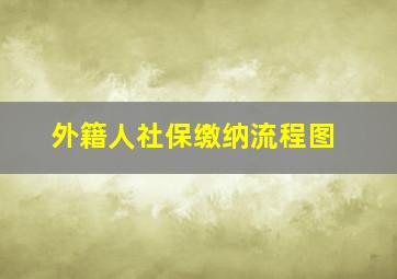 外籍人社保缴纳流程图