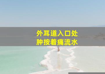 外耳道入口处肿按着痛流水