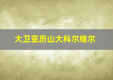 大卫亚历山大科尔维尔