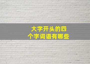 大字开头的四个字词语有哪些