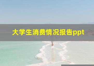 大学生消费情况报告ppt