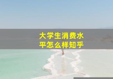 大学生消费水平怎么样知乎