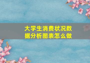 大学生消费状况数据分析图表怎么做