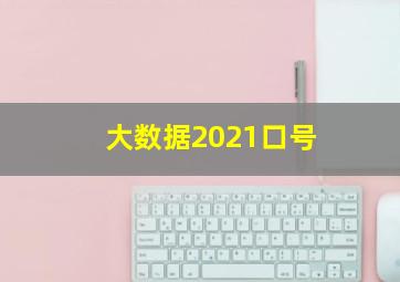 大数据2021口号