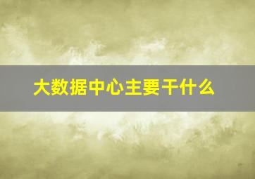 大数据中心主要干什么