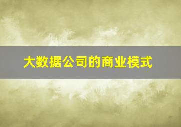 大数据公司的商业模式