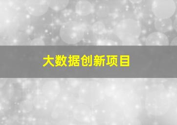 大数据创新项目