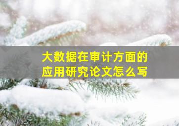 大数据在审计方面的应用研究论文怎么写