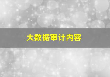 大数据审计内容