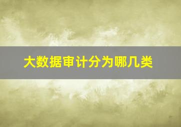 大数据审计分为哪几类