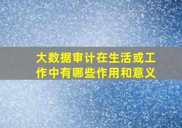 大数据审计在生活或工作中有哪些作用和意义