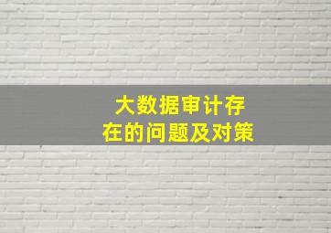 大数据审计存在的问题及对策