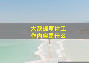 大数据审计工作内容是什么