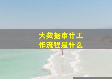 大数据审计工作流程是什么