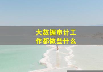 大数据审计工作都做些什么