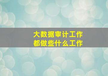 大数据审计工作都做些什么工作